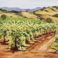 bounty-of-the-vines-by-carol