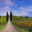 chianti-lane-by-john-scanlan