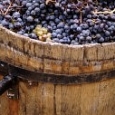 Barrel and Grapes Wall Mural for Wine Cellars