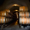 wine-barrels-by-jennie-sewell