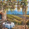 vineyard-terrace-by-sung-kim