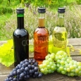 Mural of Wine Bottles and White and Red Grapes