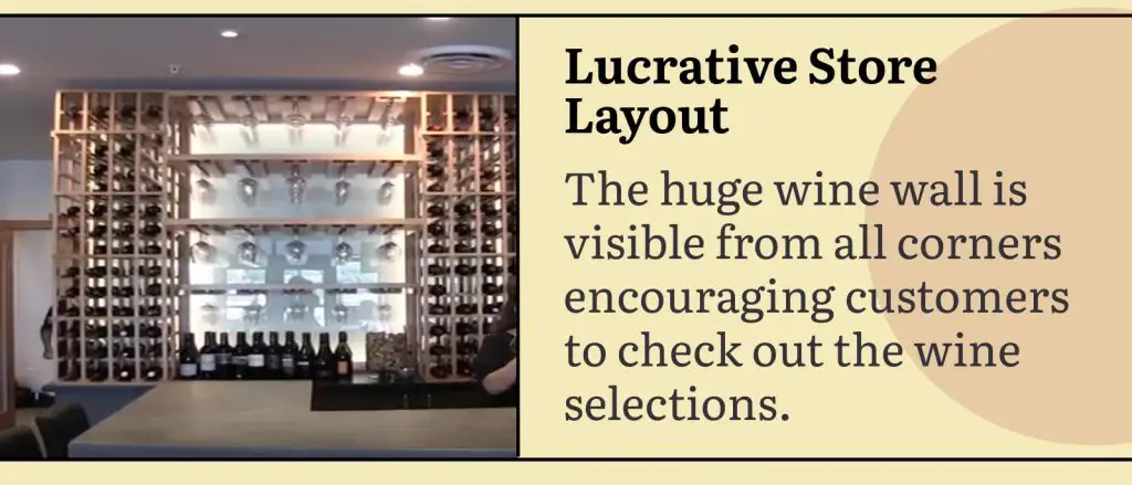 modern commercial lucrative wine cellar layout