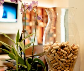 Residential Custom Wine Cellars- North Dallas Wine Room Iron Door- Wine Cellar Specialists