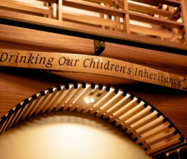 Residential Custom Wine Cellars- North Dallas Wine Room Iron Door- Wine Cellar Specialists