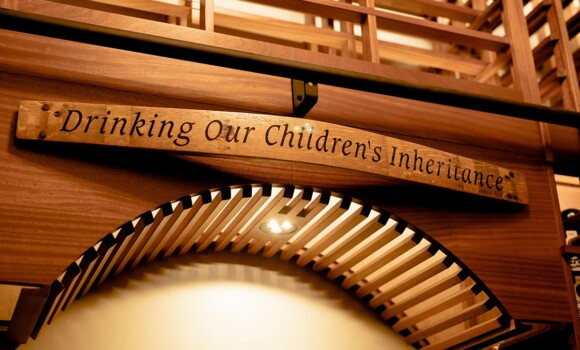 Residential Custom Wine Cellars- North Dallas Wine Room Iron Door- Wine Cellar Specialists