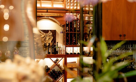 Residential Custom Wine Cellars- North Dallas Wine Room Iron Door- Wine Cellar Specialists